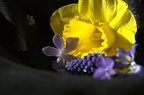 Blumen