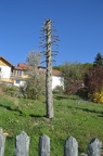 WH01 1425-1