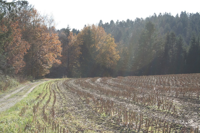 Unterwegs in der Umgebung